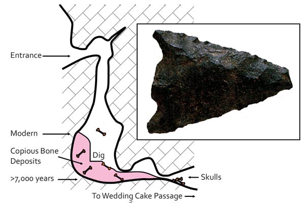 Cross-section diagram of Rat's Nest Cave entrance shaft showing Bone Bed location and depth, with inset of Pelican Lake culture projectile point recovered from the cave, Canmore Alberta
