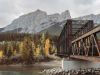 Engine Bridge Fall Colours Canmore