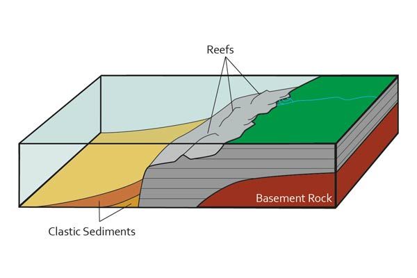 Diagram of Devonian carbonate reef formation showing basement rock, clastic sediments, and reef structures — the geological origin of Rat's Nest Cave limestone, Canmore Alberta